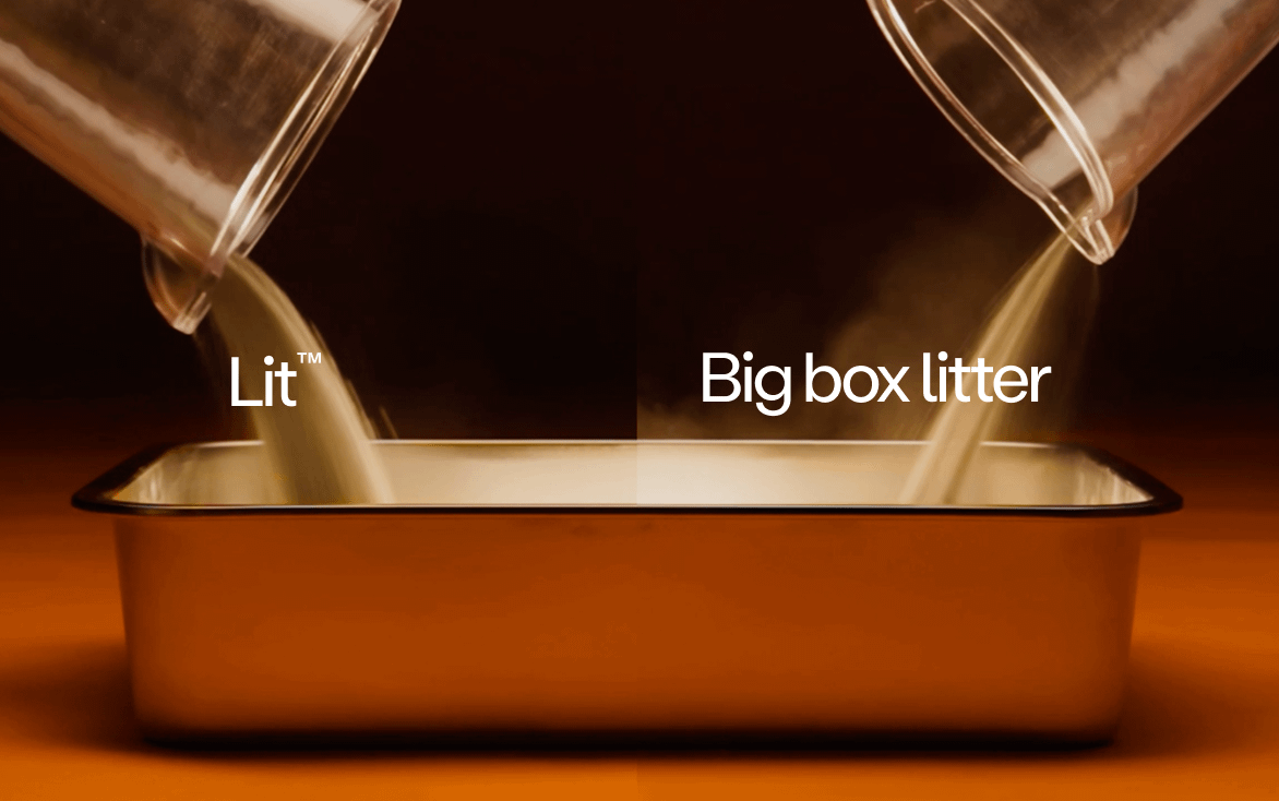 Lit Premium Cat Litter lost dust compared to Big Box Litter heavy dust