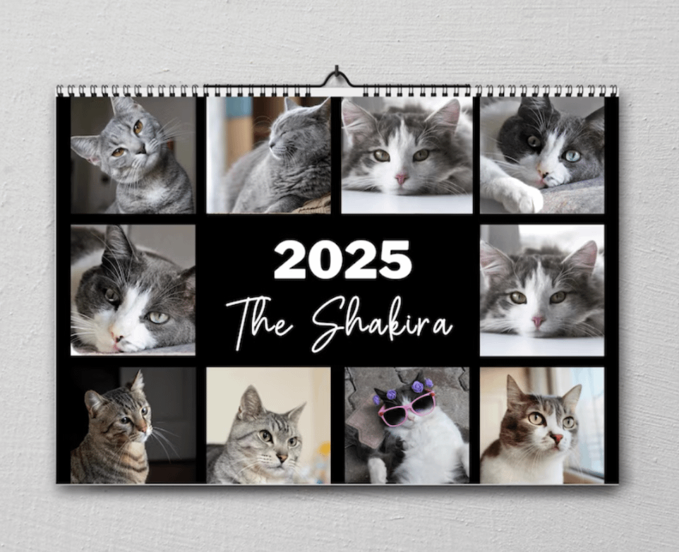 personalized cat calendar
