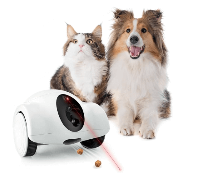 pet fitness robot