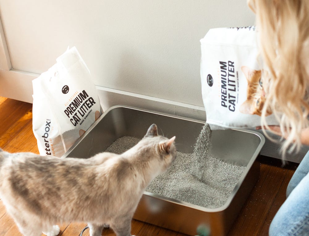 woman pouring cat litter into litter box