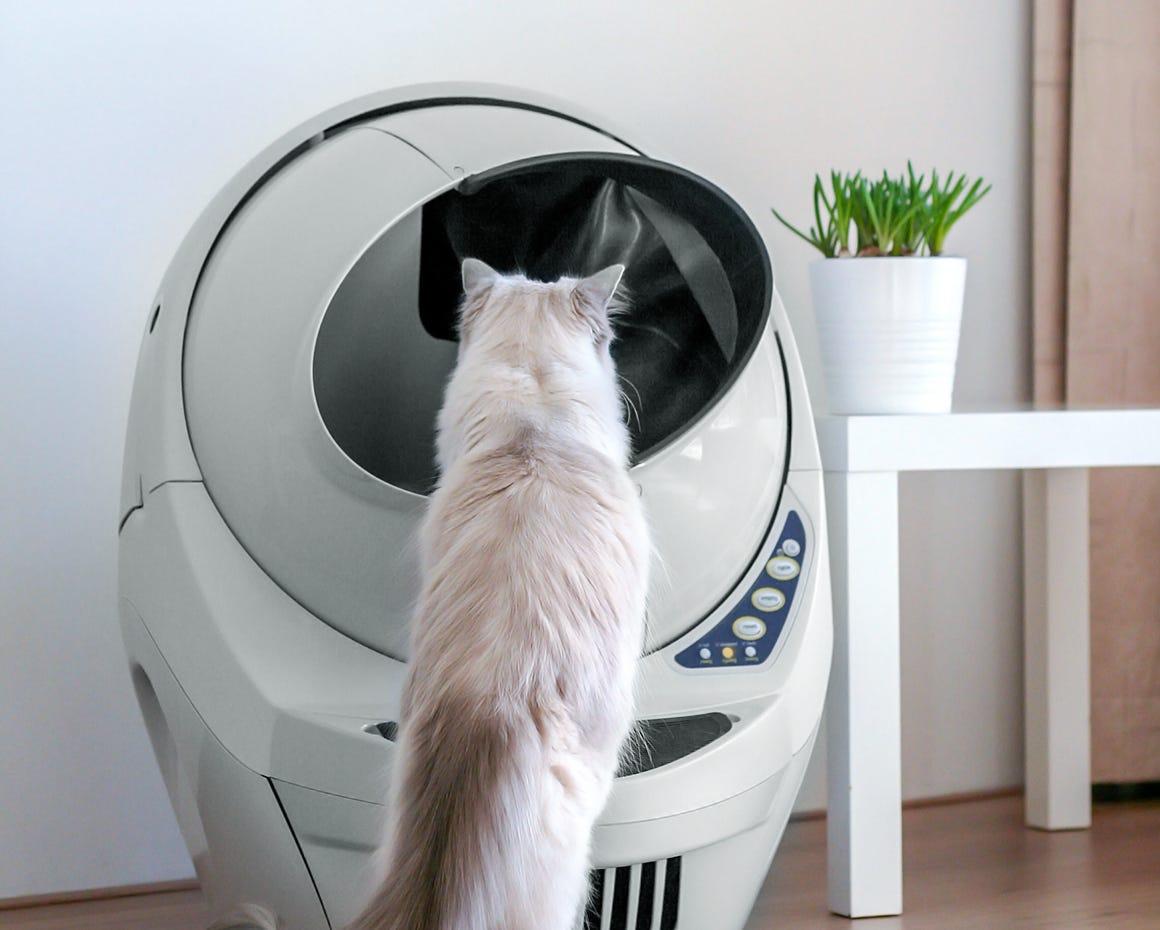 I litter robot best sale