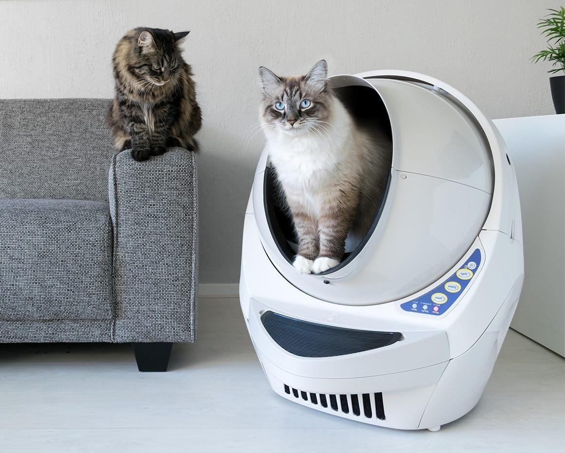 I litter robot best sale