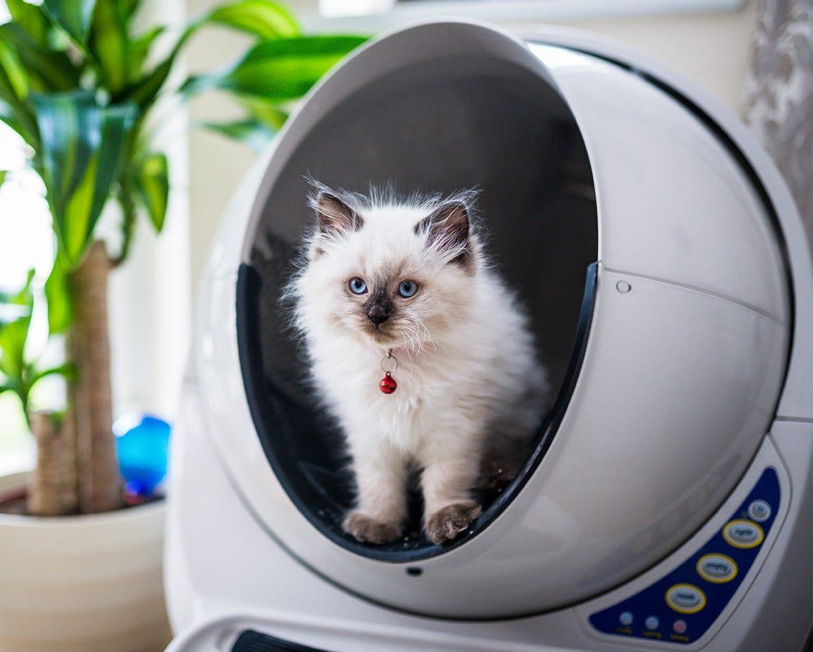 Litter Robot 3 Top Rated Self Cleaning Litter Box for Cats