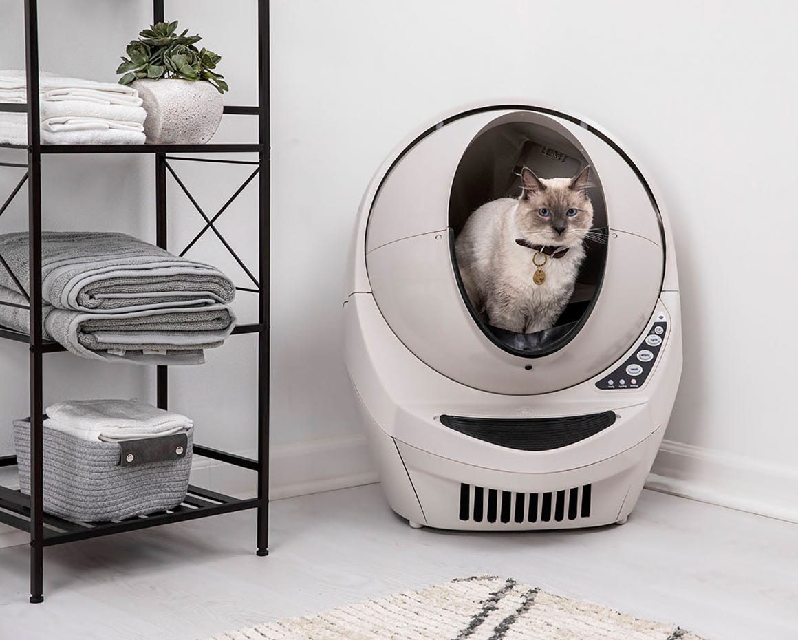 tuxedo cat exiting Litter-Robot 4