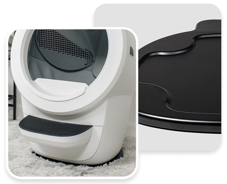 Litter-Robot 4 on carpet tray sitting on rug