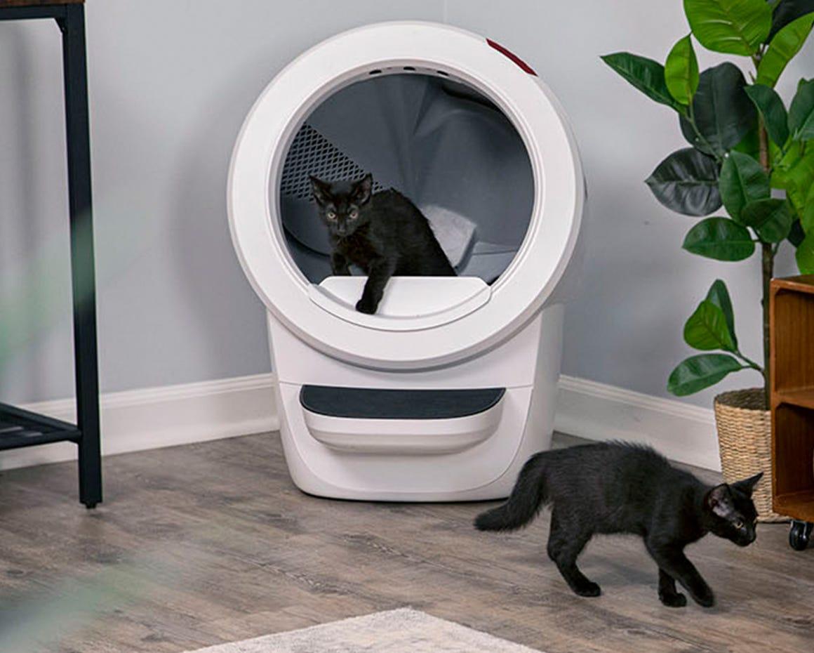 Two cats with Litter-Robot 4