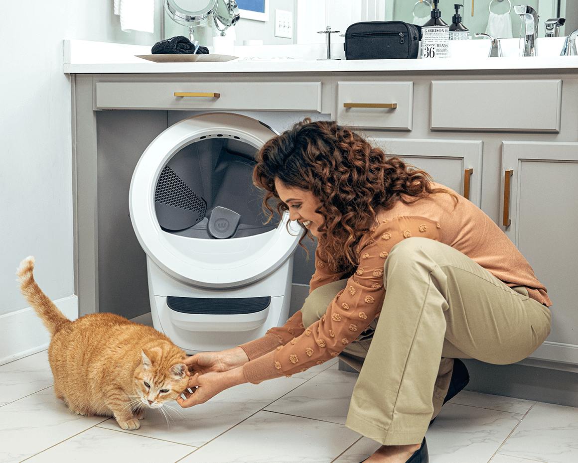 orange tabby cat exiting Litter-Robot 4