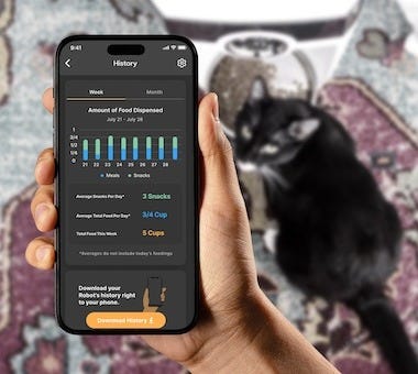hand holding phone with Whisker app and cat in background