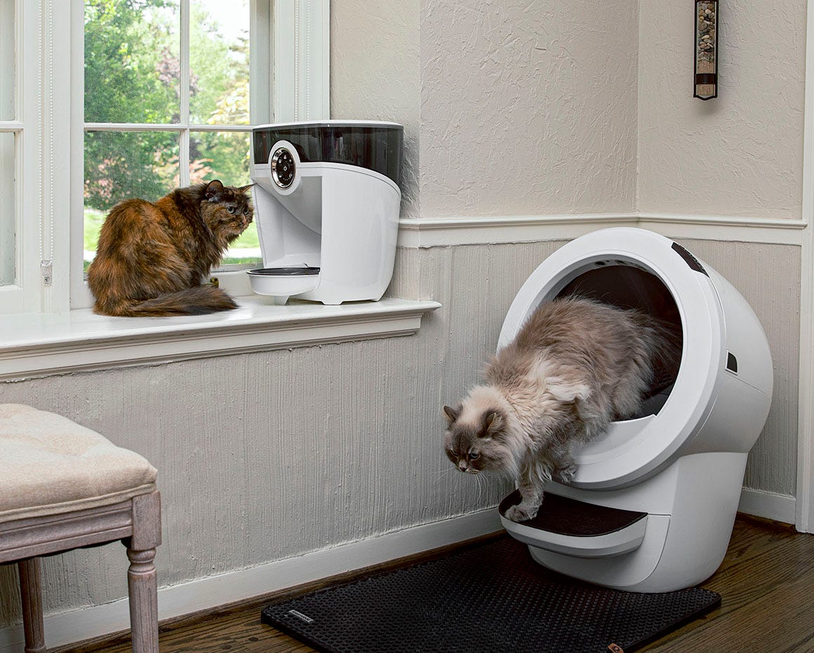 two Siberian cats with Feeder-Robot and Litter-Robot 4