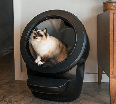 cat using Litter-Robot 4