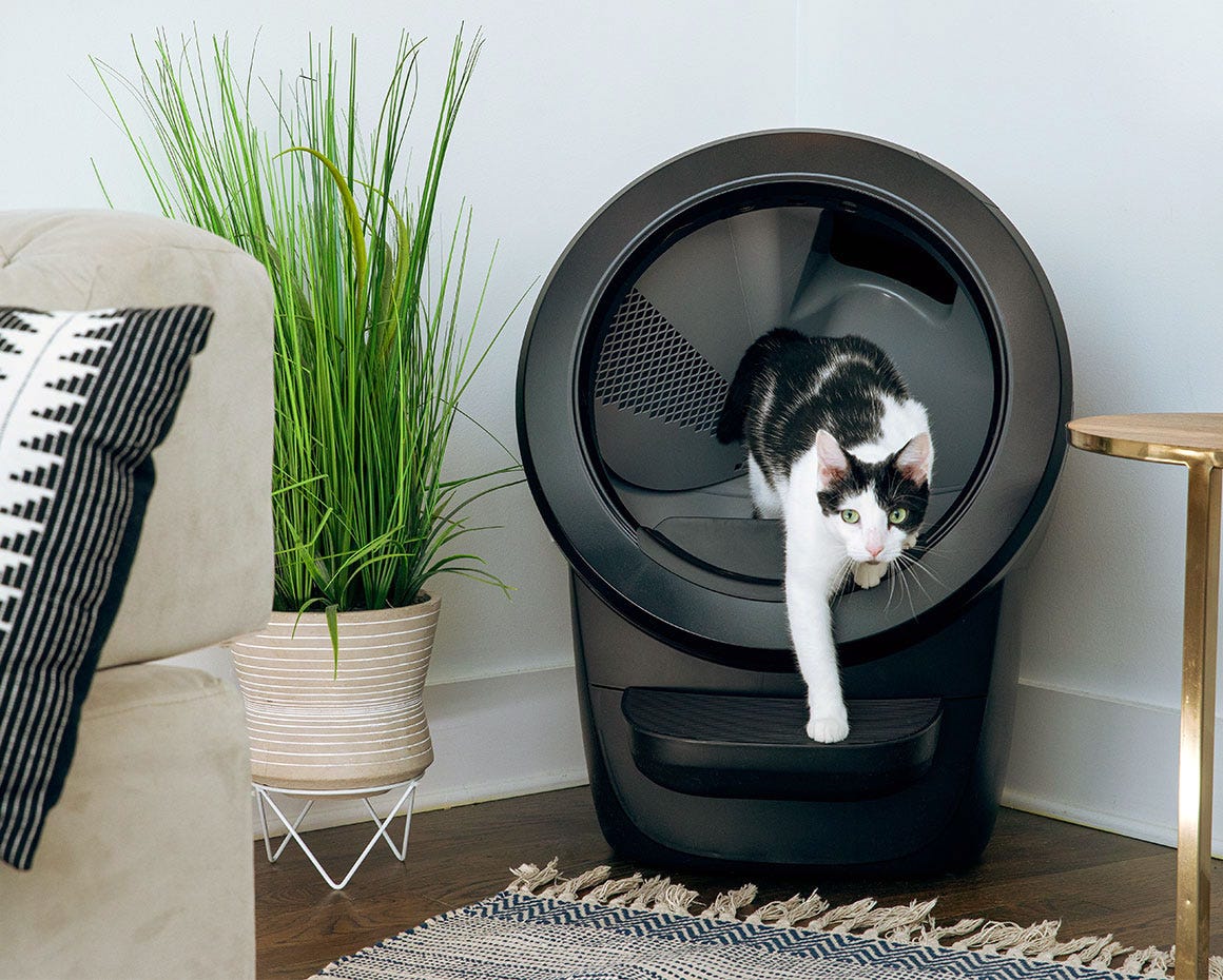 tuxedo cat exiting Litter-Robot 4