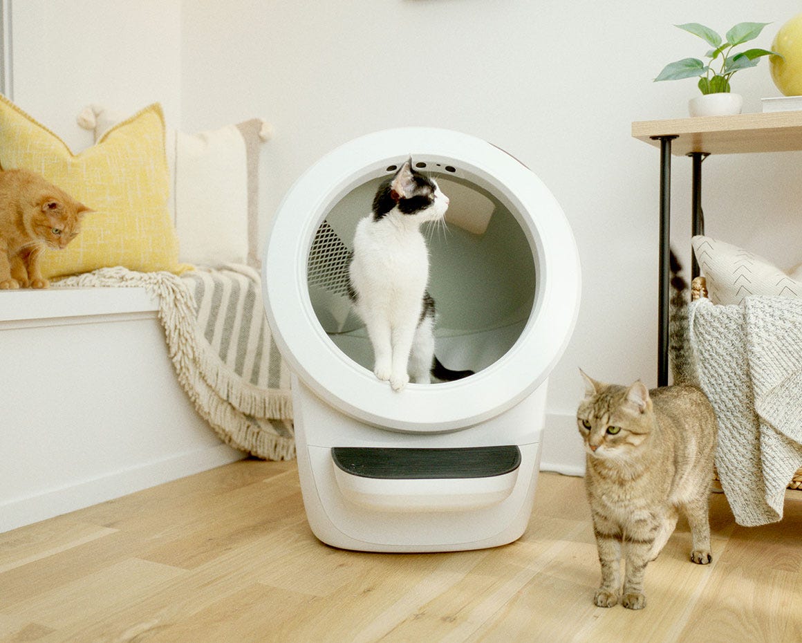2 cats with Litter-Robot 4