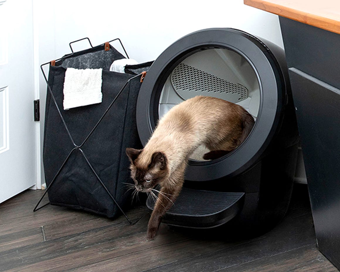 cat exiting Litter-Robot 4