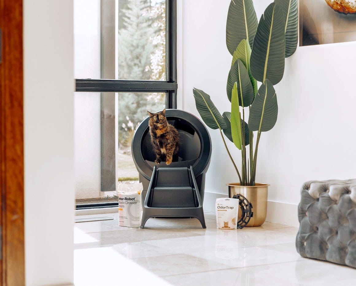 tabby cat using Litter-Robot 4 with litter box accessories