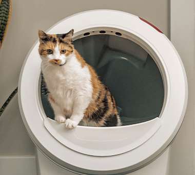 calico cat using Litter-Robot 4 with fence