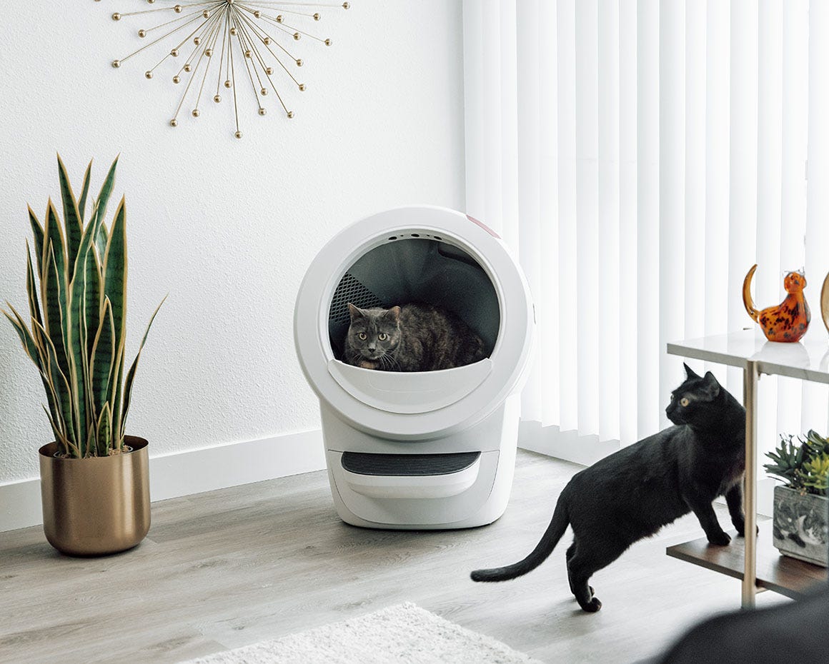 two grey cats with Litter-Robot 4 fence