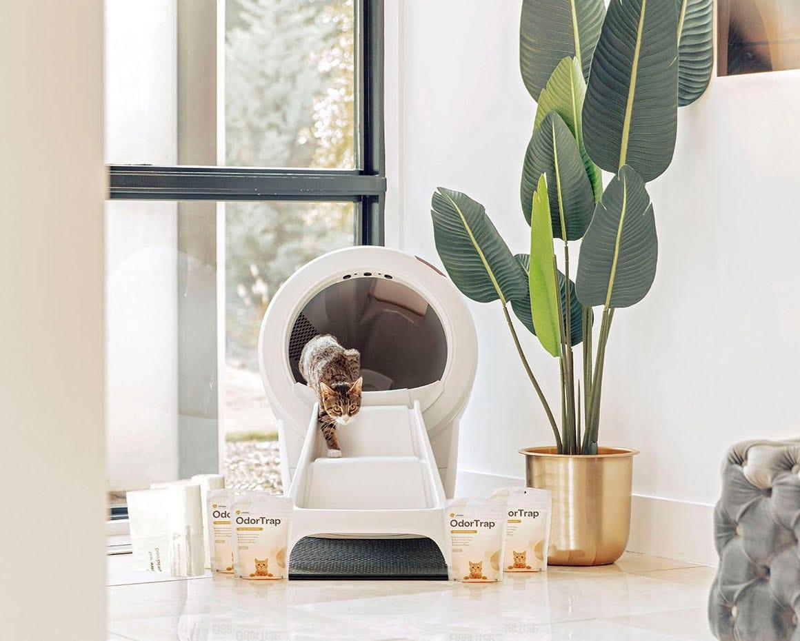 tabby cat exiting Litter-Robot 4 with litter box accessories