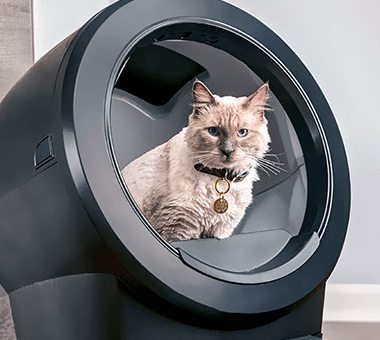 cat with collar using Litter-Robot 4 with fence