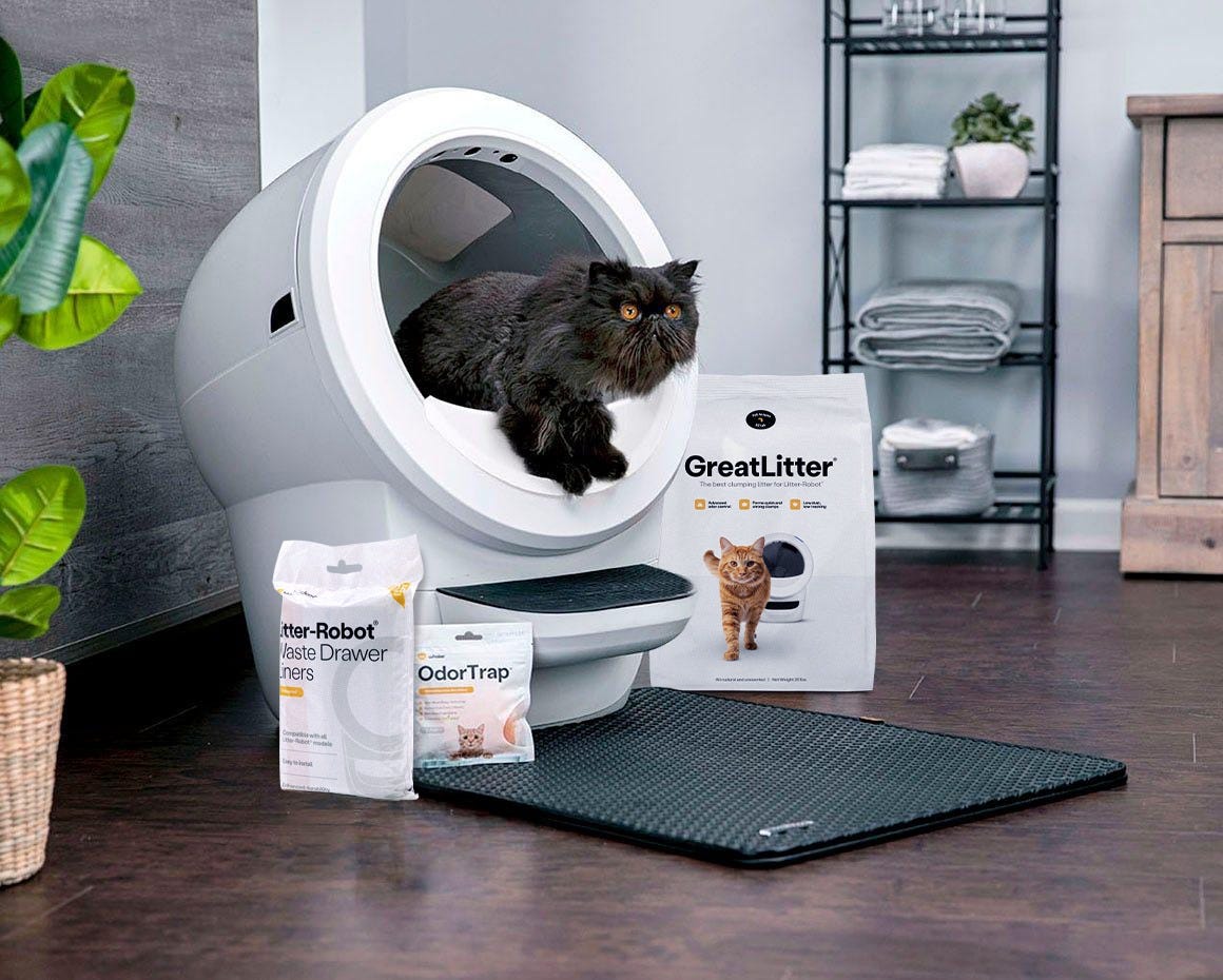 Persian cat using Litter-Robot 4 with litter box accessories