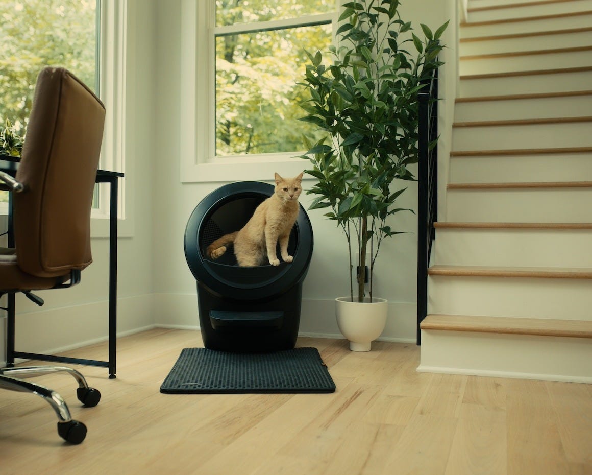 tabby cat using Litter-Robot 4