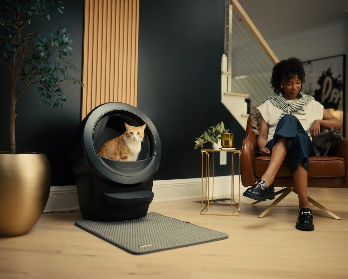 tabby cat using Litter-Robot 4 with woman reading nearby