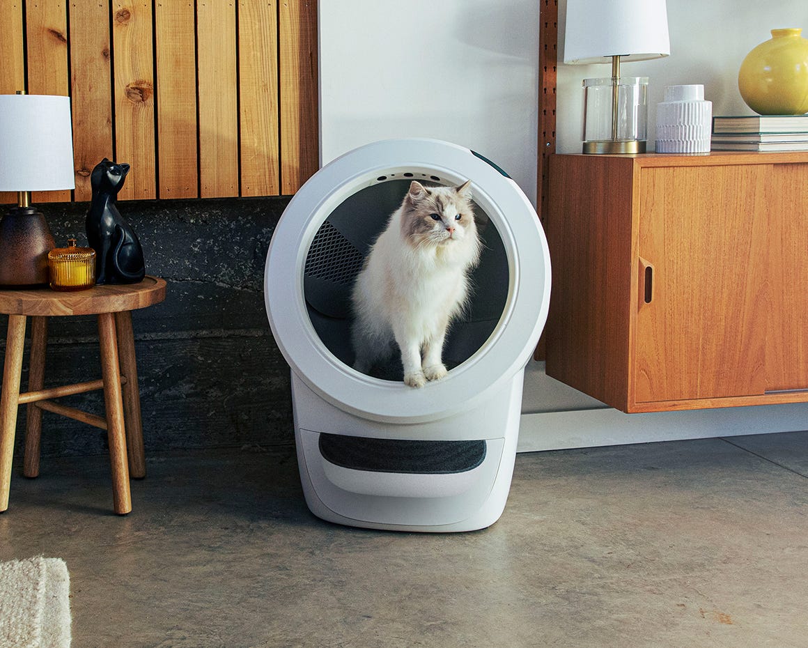 tuxedo cat exiting Litter-Robot 4