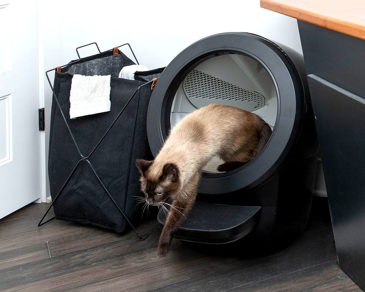 cat exiting Litter-Robot 4