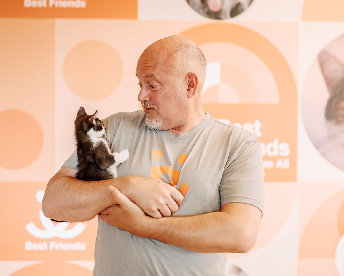man holding kitten