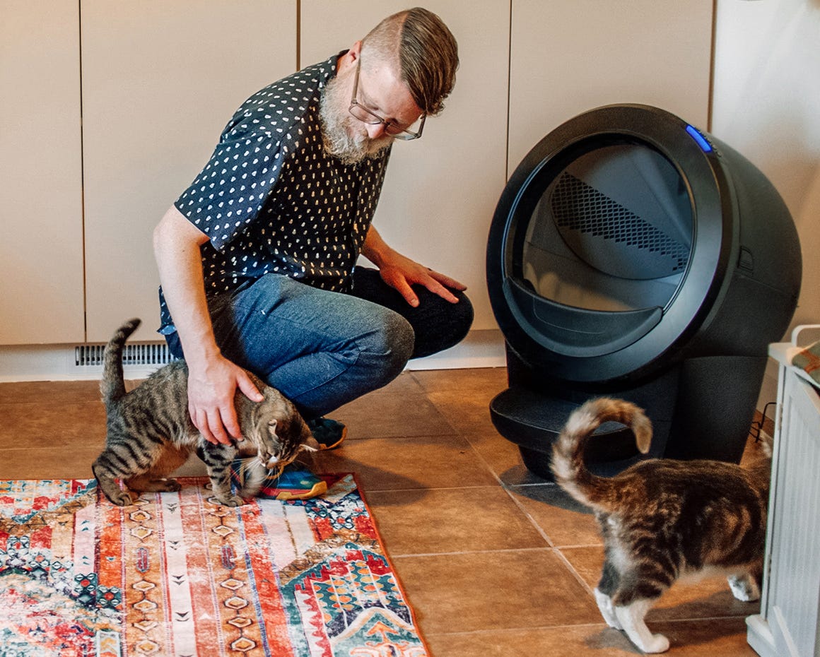 tabby cat using Litter-Robot 4 with woman laughing in foreground