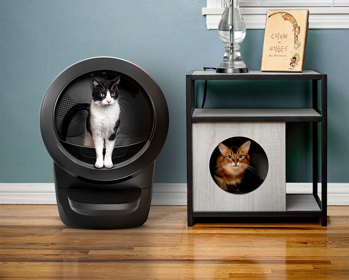 cat in Litter-Robot 3 Connect and cat on Cat Pyramid