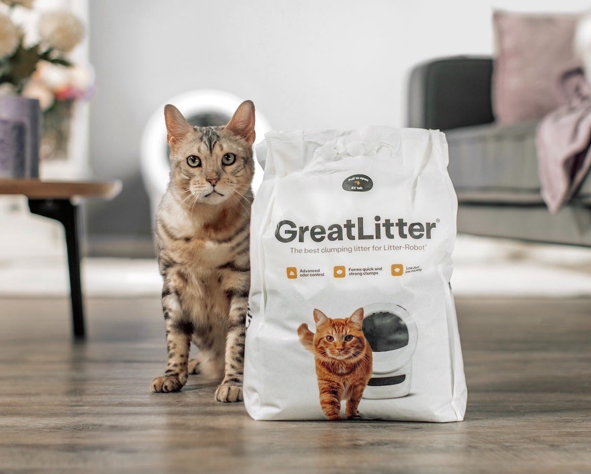 two cats on Cat Pyramid