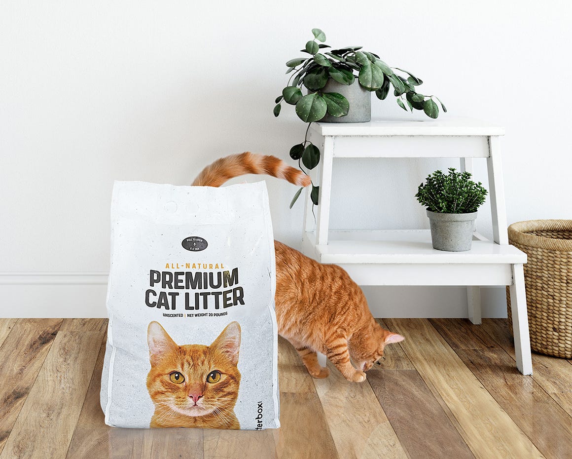Orange cat walking near a bag of premium cat litter