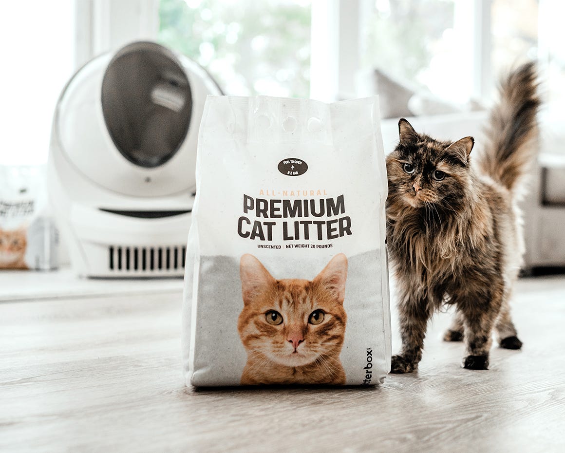 Cat next to a bag of litter