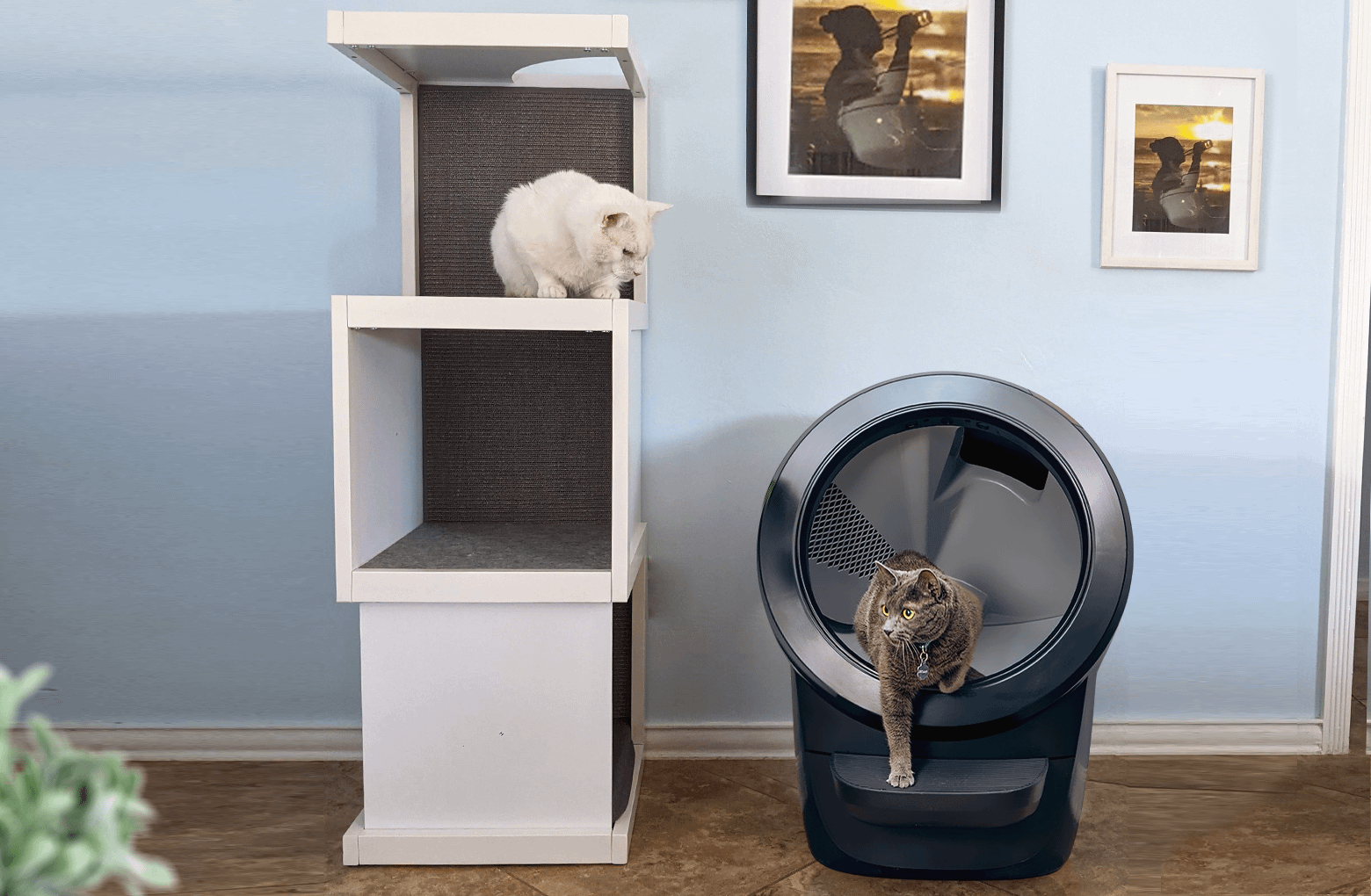 cat exiting Litter-Robot 4 inside Cat Tower