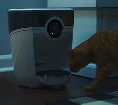 Cat eating from a feeder robot cat food dispenser during a power outage