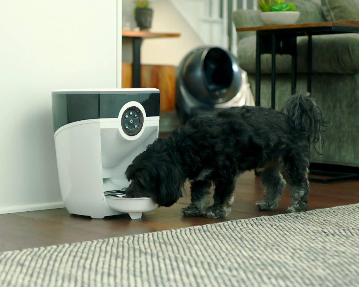 Black dog eating a meal from a Feeder Robot automatic cat feeder