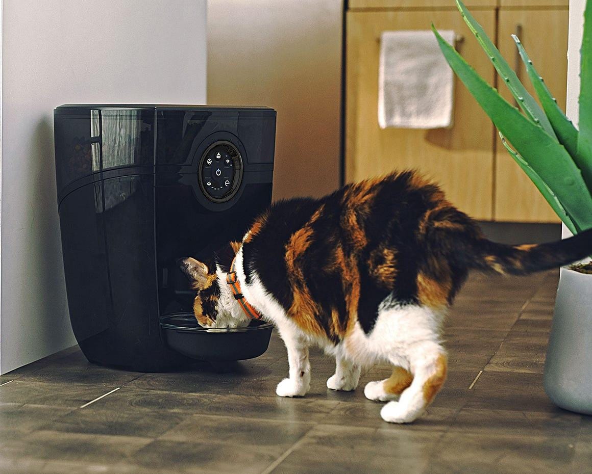 Multicolored cat eating a meal from a Feeder Robot cat food dispenser