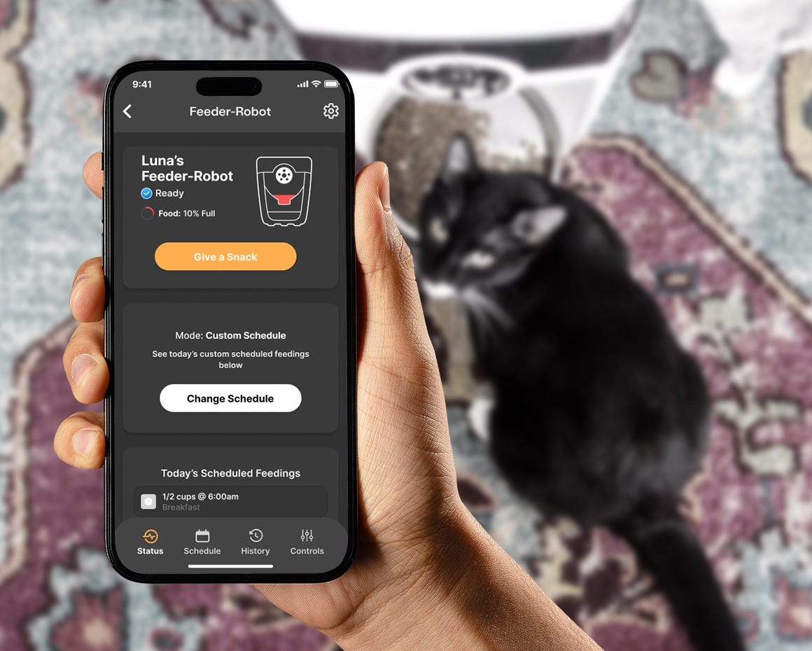 Person reviewing app settings while cat has a meal at a Feeder Robot automatic cat feeder
