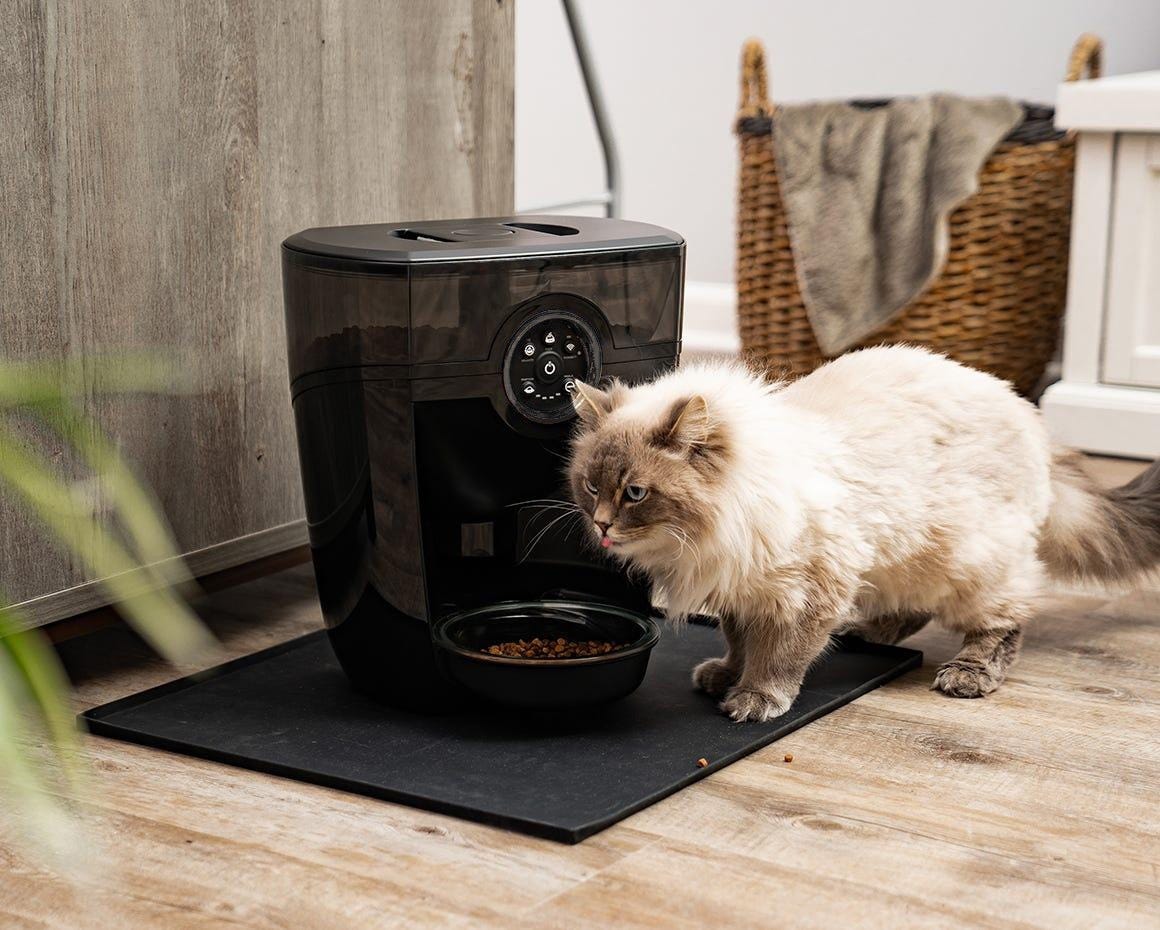 Siberian cat eating from Feeder-Robot