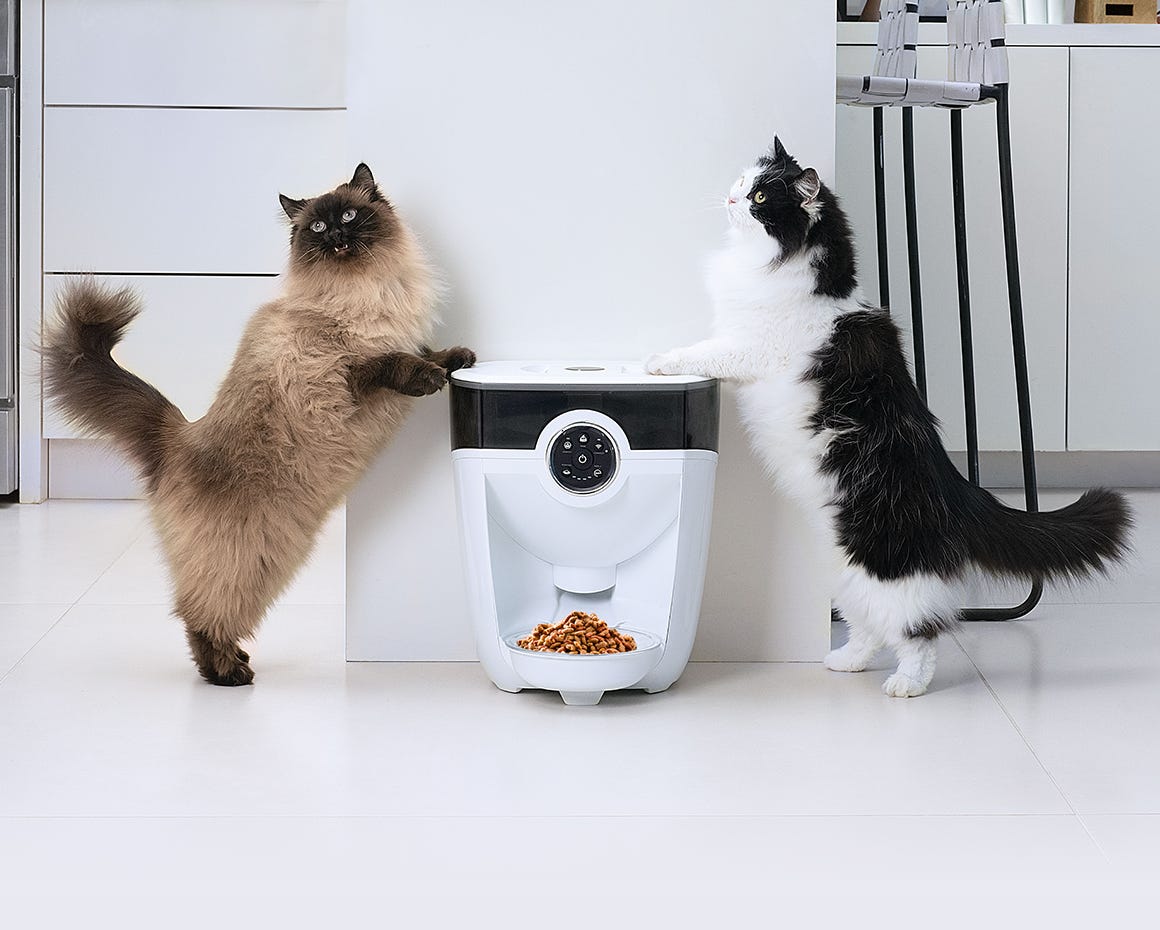 Two cats with their paws on top of a Feeder Robot