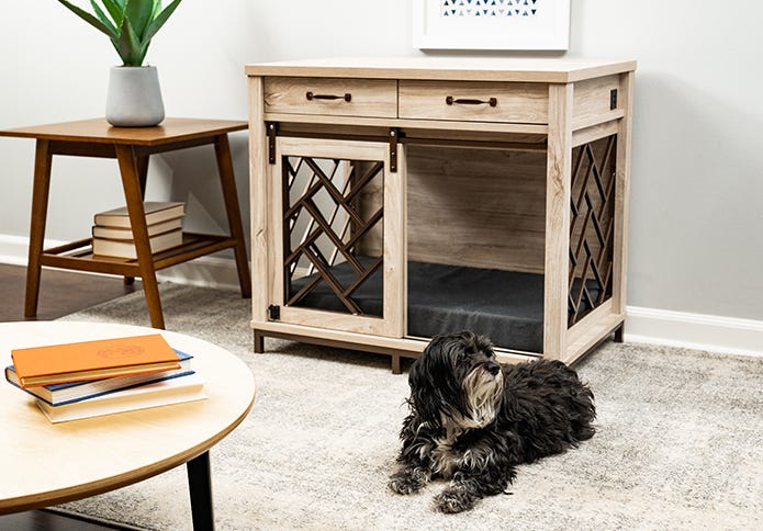 Small dog sitting in front of barn door dog crate