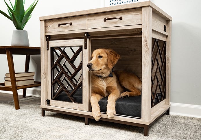 Golden Retriever sitting inside barn door dog crate