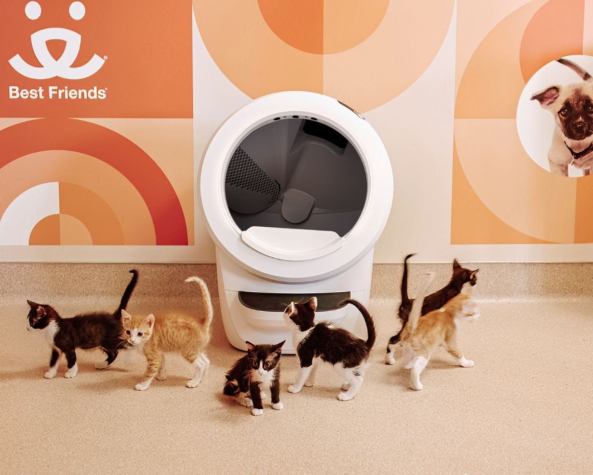 Two cats with Litter-Robot 4