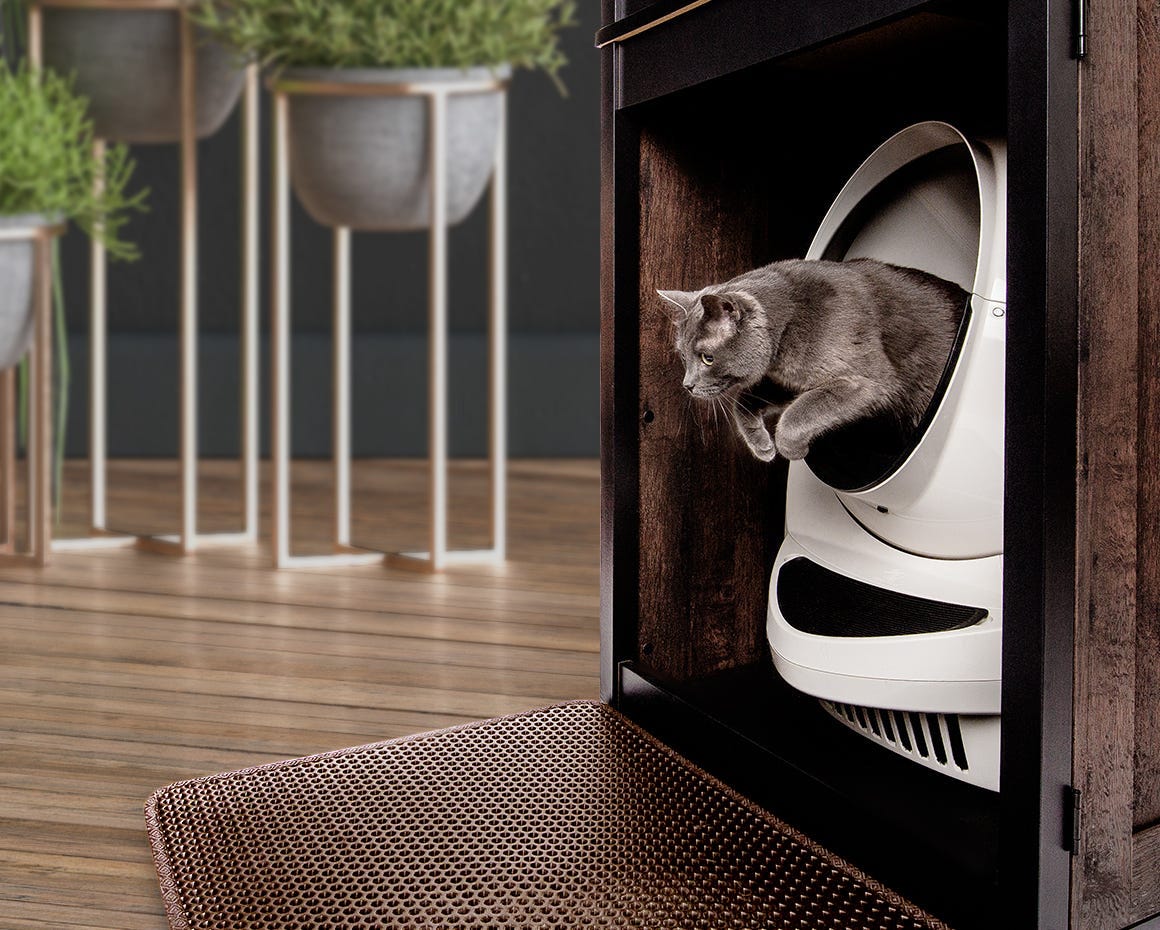 Grey cat jumping out of a litter robot, ready to land on a trap mat