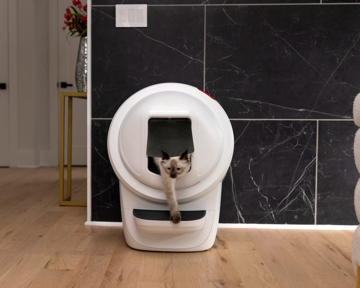 Siamese cat inside Litter-Robot 4 with Shield