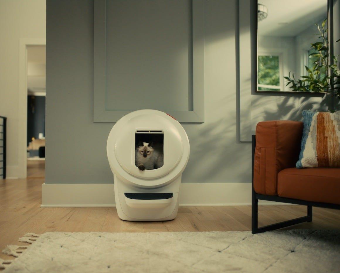 Birman cat using Litter-Robot 4 with Shield