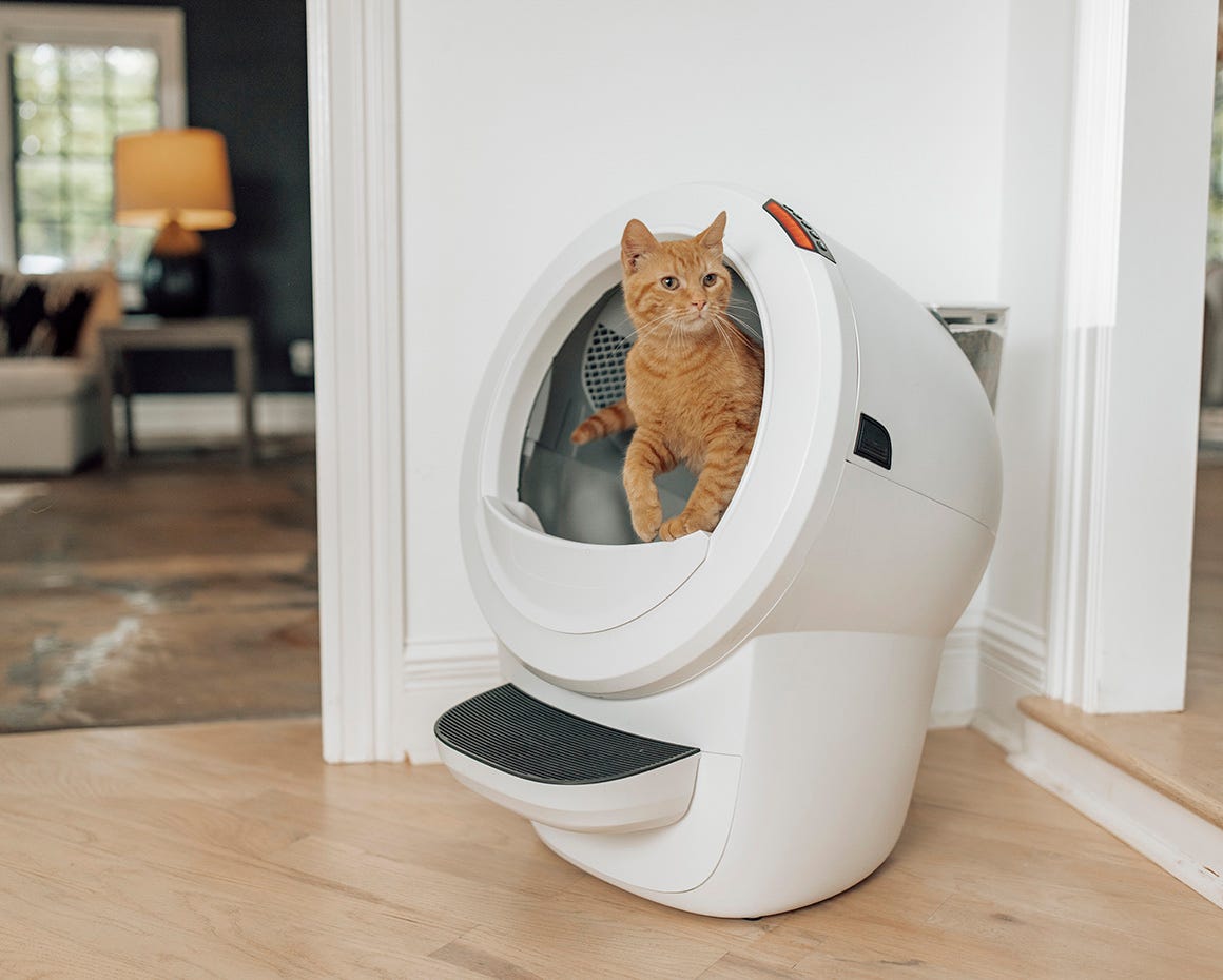tabby cat using Litter-Robot 4 with litter box accessories