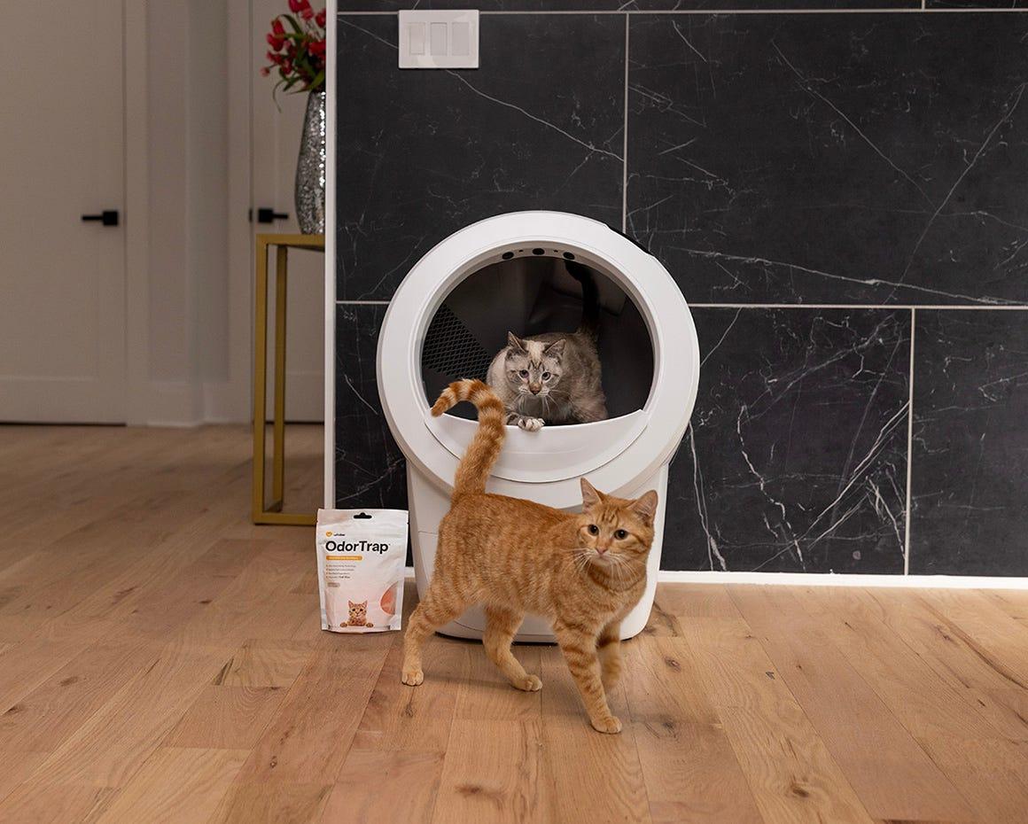 Odor trap products with a gray cat