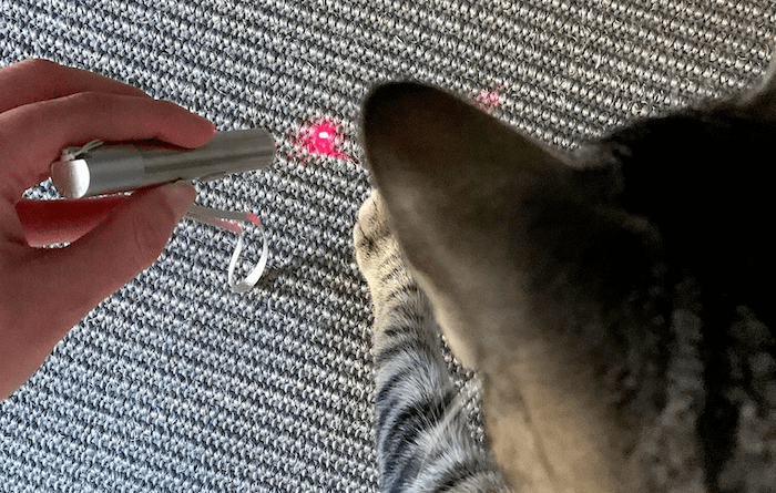 rechargeable laser pointer