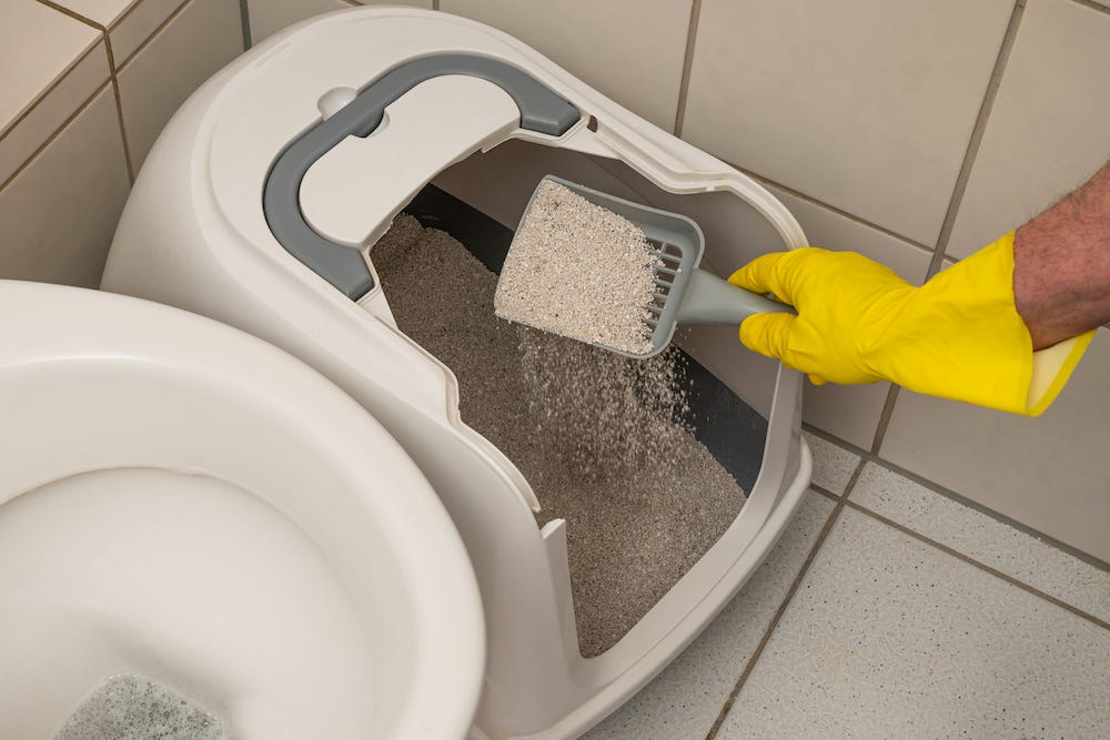 scooping a litter box in a bathroom